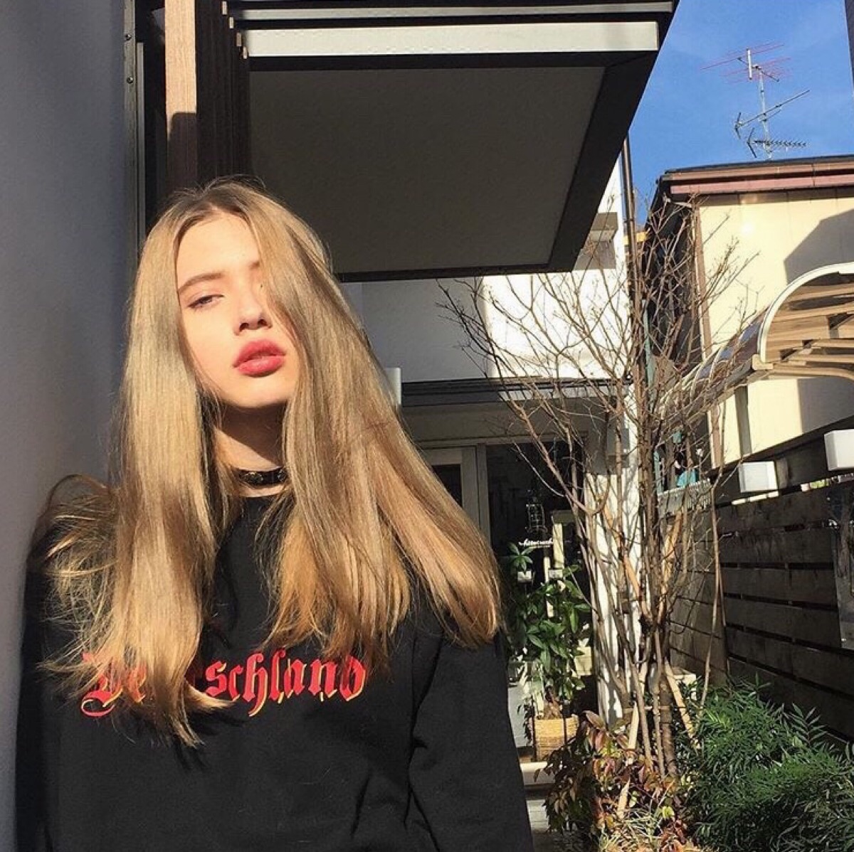 小森林素材铺 第4张.jpeg